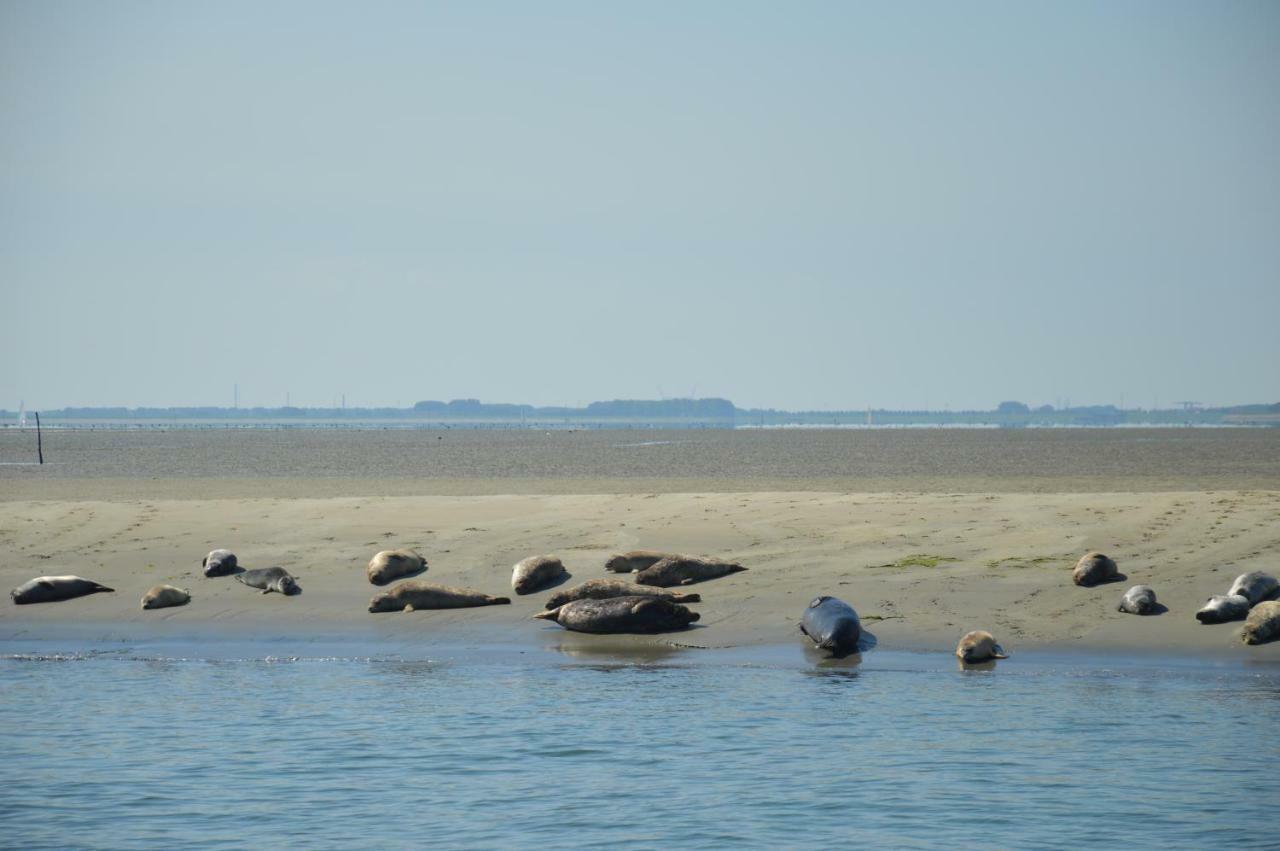 B & B Boezeneren Yerseke Bagian luar foto